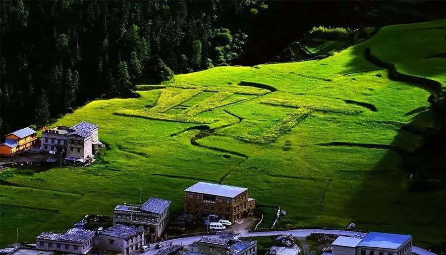 3edf8aa1a59d84a02535c5a719a5904c.jpg 3edf8aa1a59d84a02535c5a719a5904c.jpg