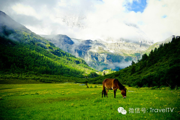 ea3aae64a6985466d5afda42fda9235b.jpg ea3aae64a6985466d5afda42fda9235b.jpg