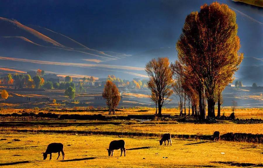 8bdeb4f94bd31173f809c2f56b3de191.jpg 8bdeb4f94bd31173f809c2f56b3de191.jpg