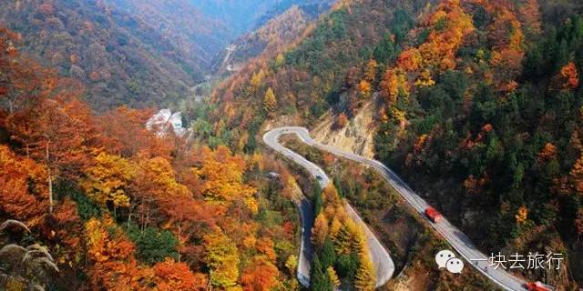 4072dab59c00728d6146254901bd4f4a.jpg 4072dab59c00728d6146254901bd4f4a.jpg