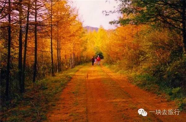 3384109d70c03e7e2bdfcae8692130b9.jpg 3384109d70c03e7e2bdfcae8692130b9.jpg