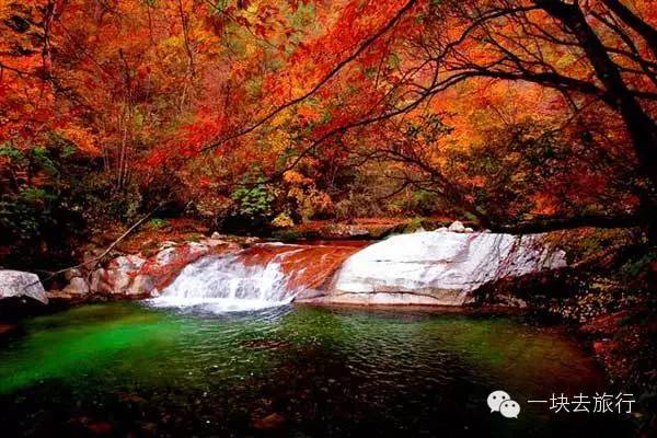 fc231e51f741e57af8a794d69efb7d07.jpg fc231e51f741e57af8a794d69efb7d07.jpg