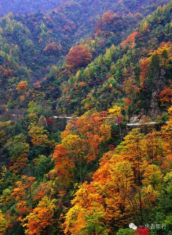 d1ab5221a849ba1a1852dcbda875f02d.jpg d1ab5221a849ba1a1852dcbda875f02d.jpg