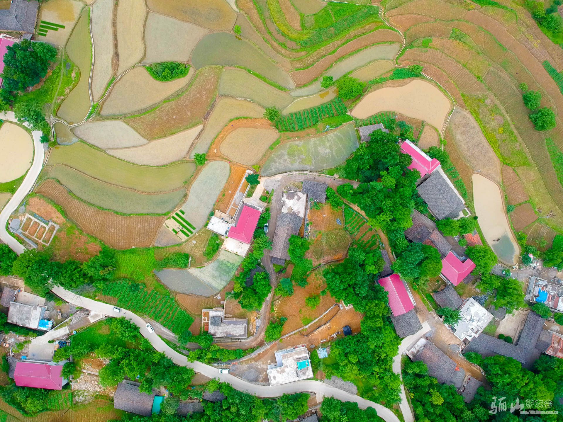 DJI_0366 - 副本.jpg