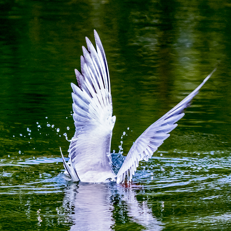 _LY60849副本 2.jpg