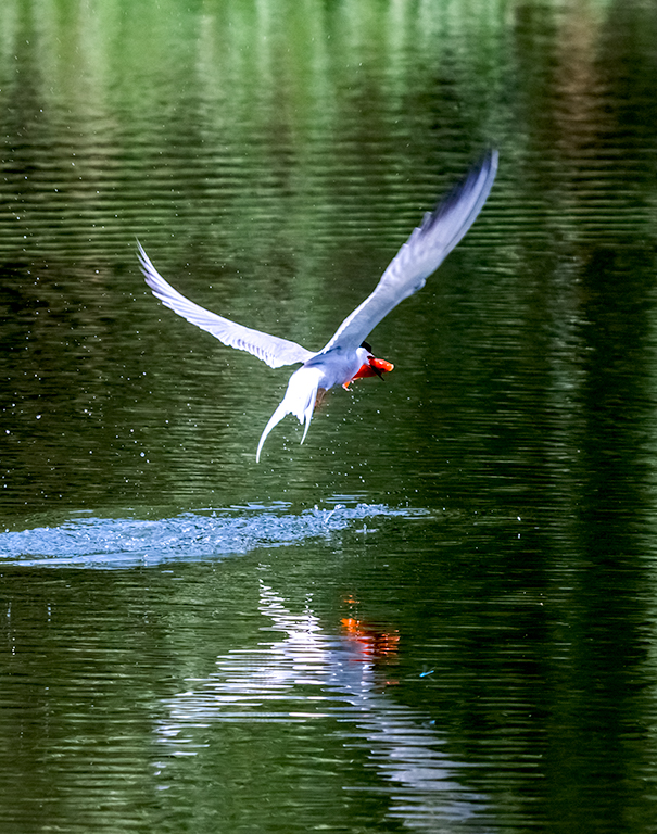 _LY60835副本 2.jpg