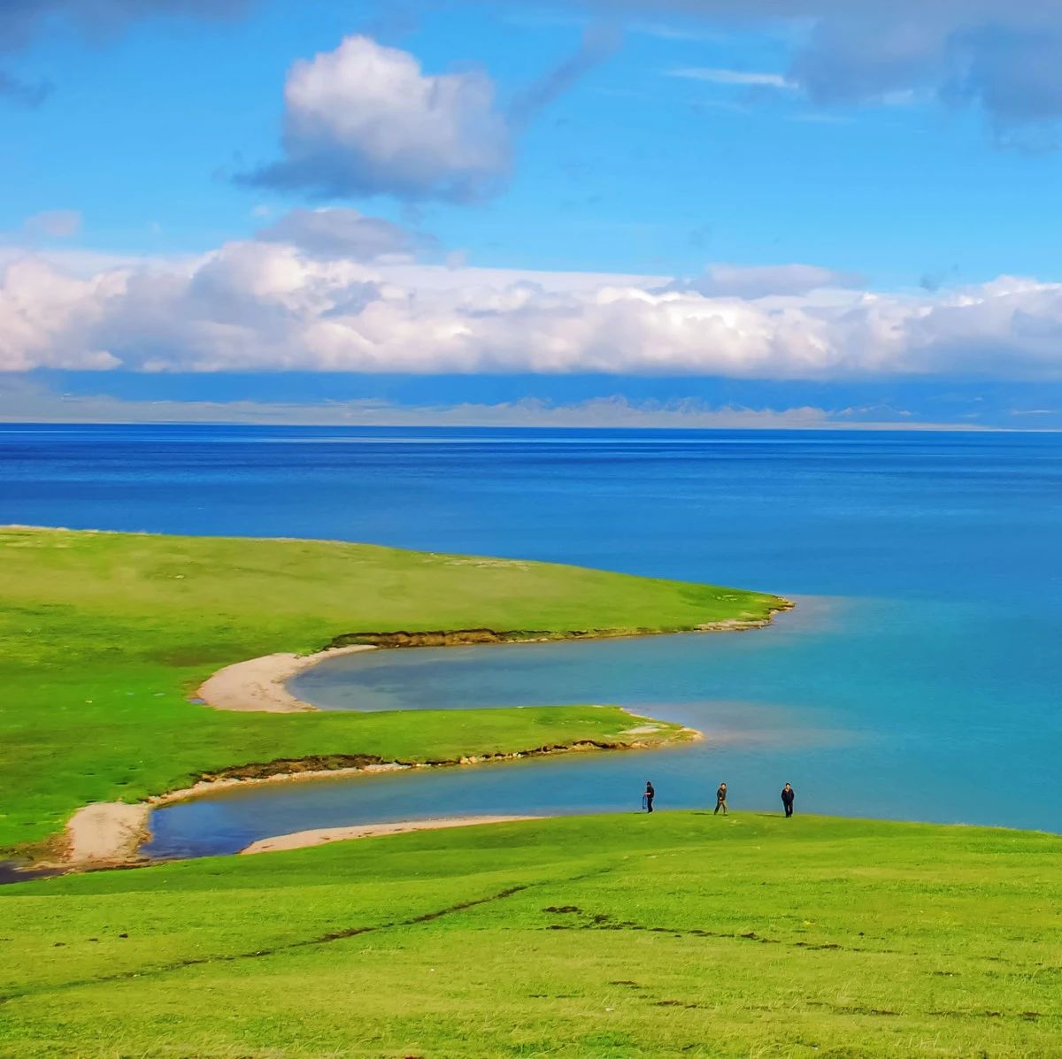 055535522073d4a8871f56297eb4cfb9.jpg 055535522073d4a8871f56297eb4cfb9.jpg