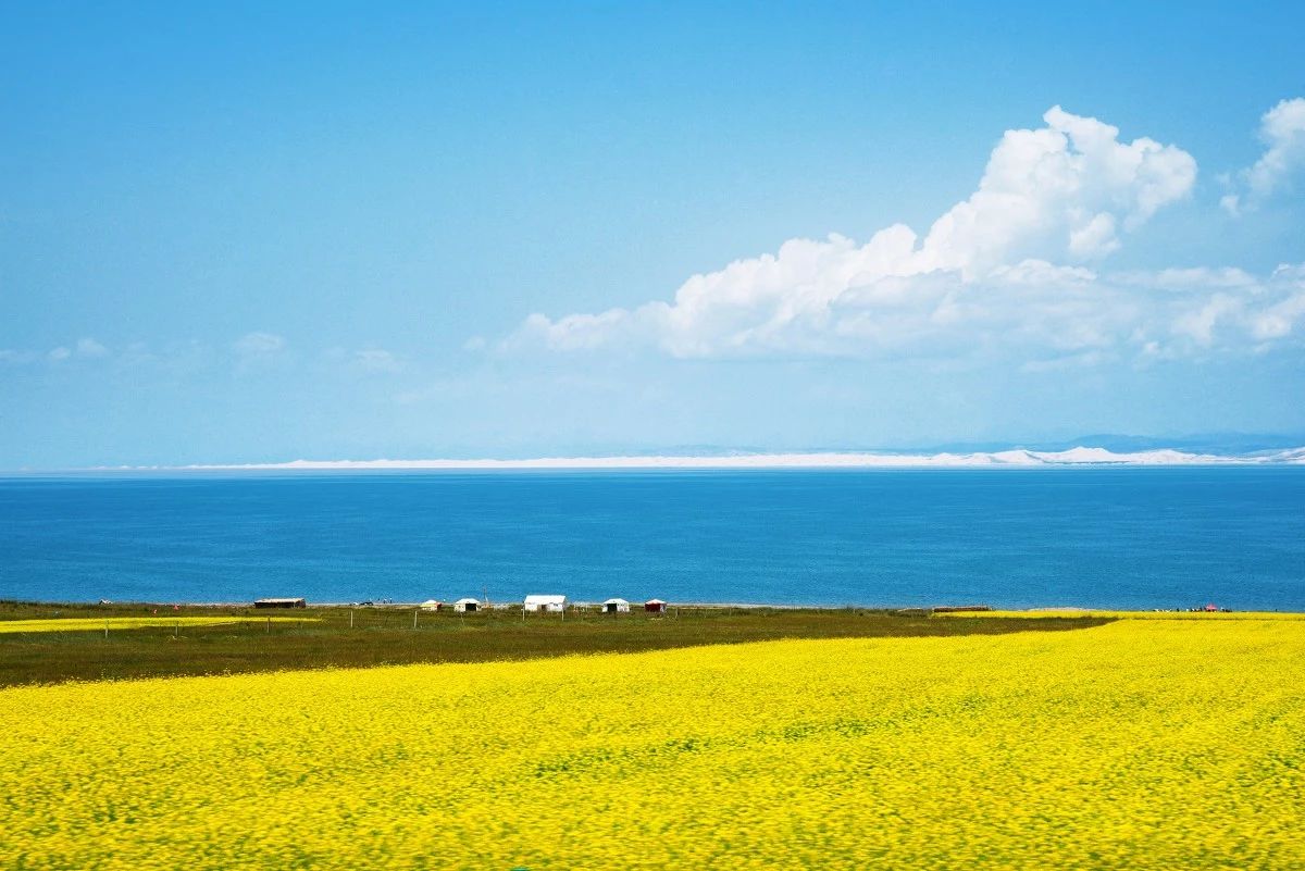 20adb82dccf4fc3dfe673876bff0804b.jpg 20adb82dccf4fc3dfe673876bff0804b.jpg