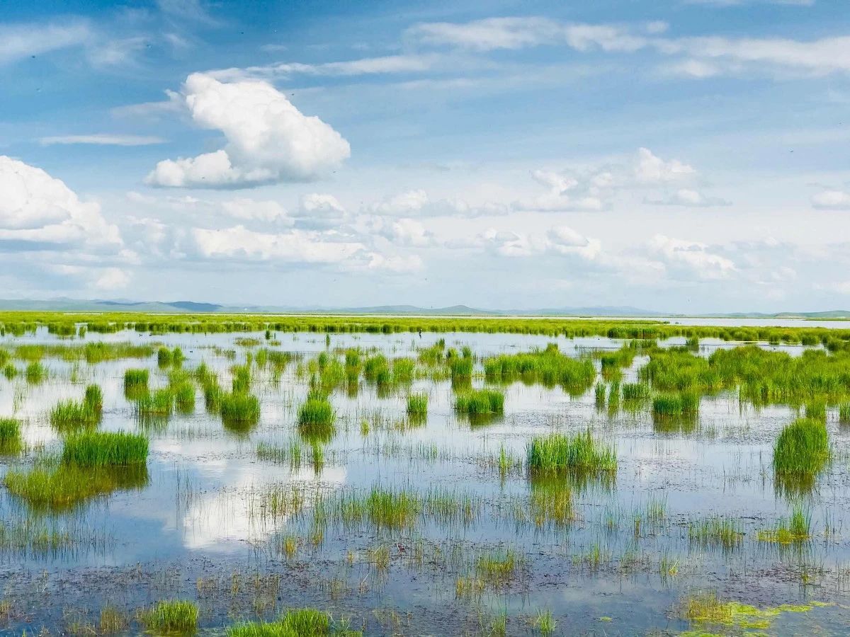 562ad19587e6b371ed3555bfc4696dd2.jpg 562ad19587e6b371ed3555bfc4696dd2.jpg