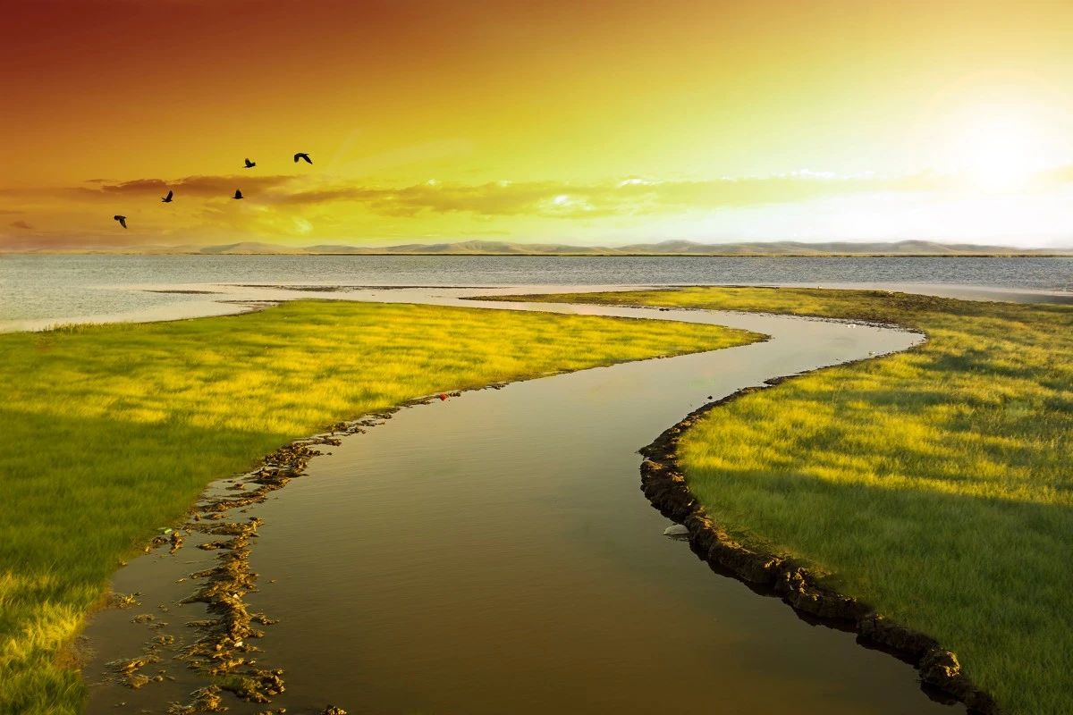 6998921eb185f0fe185f4cc43bb5c643.jpg 6998921eb185f0fe185f4cc43bb5c643.jpg