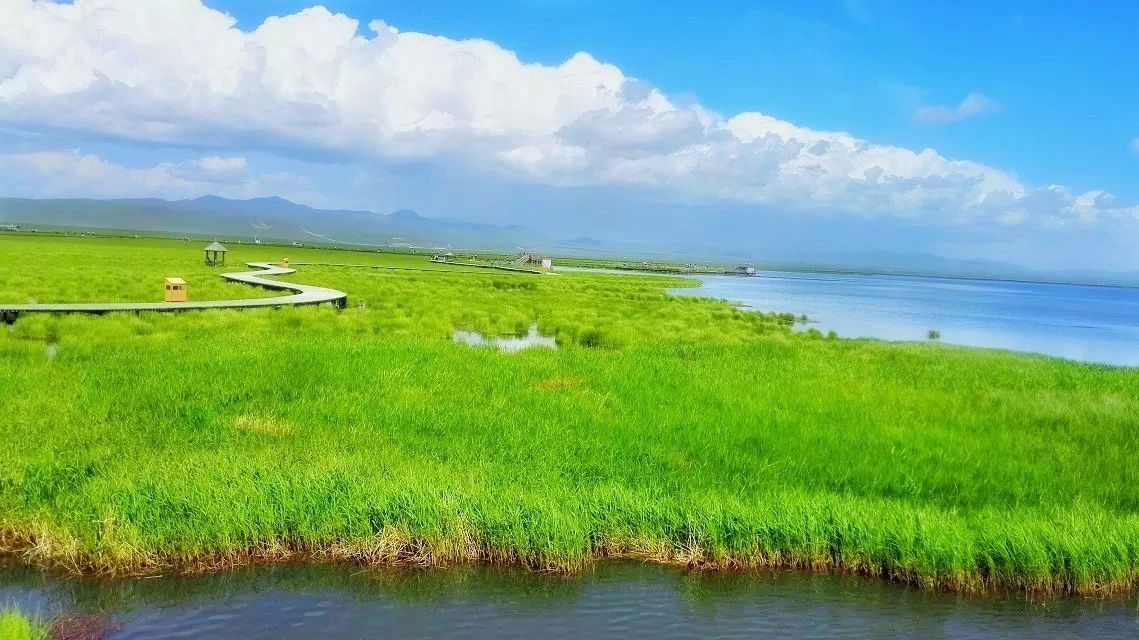 138de088257861c34d643a389cc1fc19.jpg 138de088257861c34d643a389cc1fc19.jpg