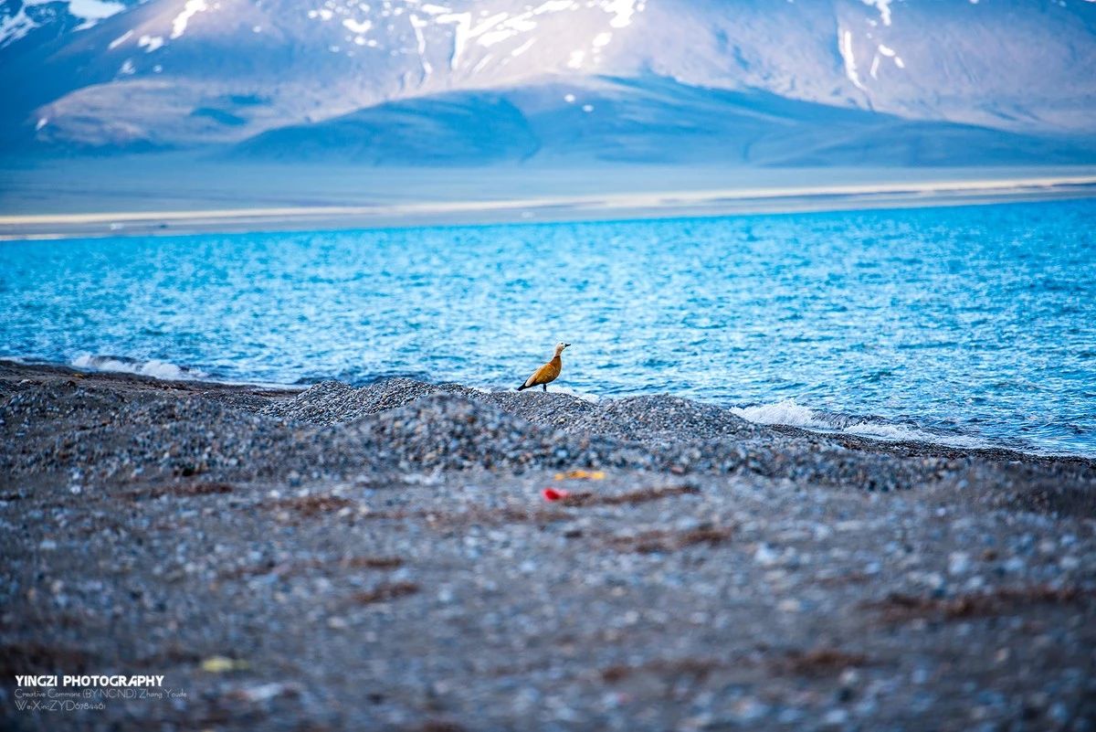 25398df51df384bb6c0f2e96f86d4500.jpg 25398df51df384bb6c0f2e96f86d4500.jpg