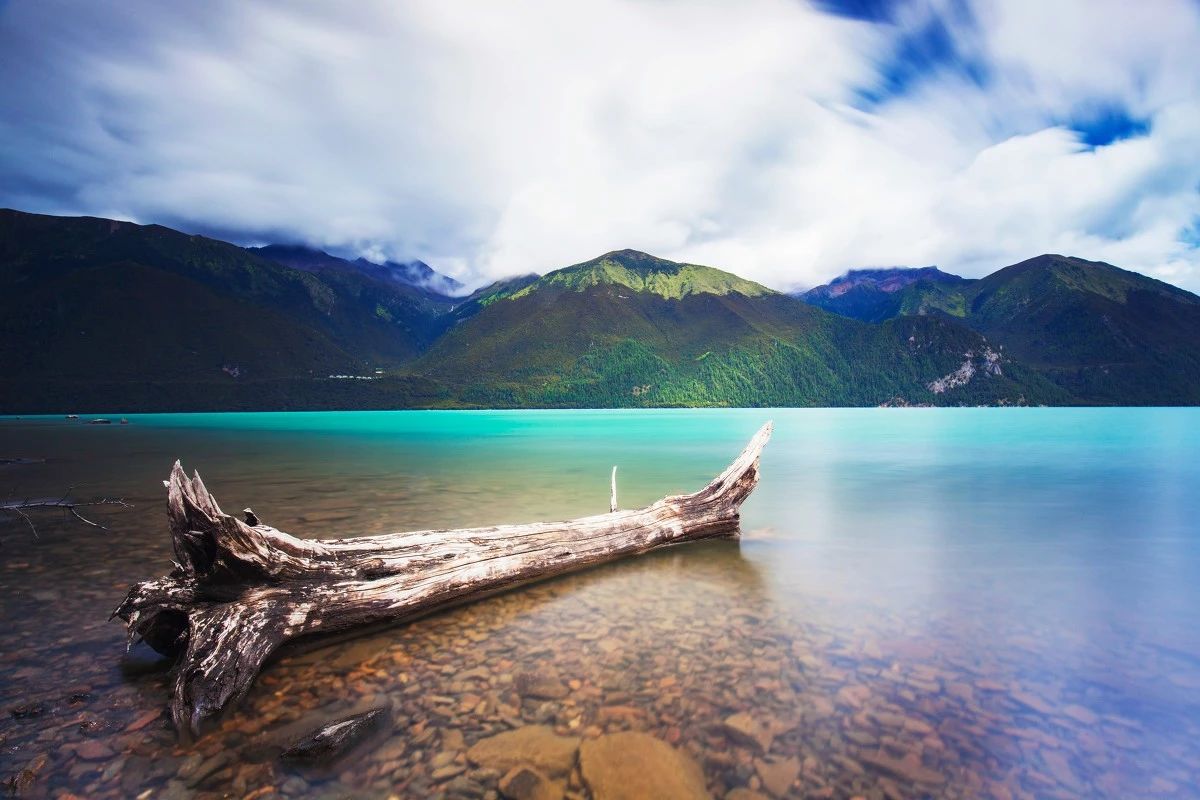 d4119a1e1dd071a49bab13d990567e0f.jpg d4119a1e1dd071a49bab13d990567e0f.jpg