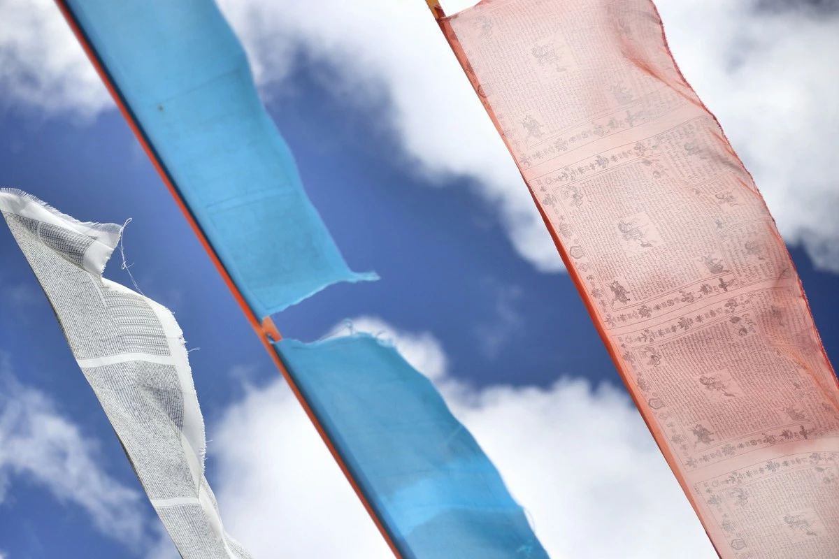 bc8424b6c3f659fa48fe578208edb5a5.jpg bc8424b6c3f659fa48fe578208edb5a5.jpg