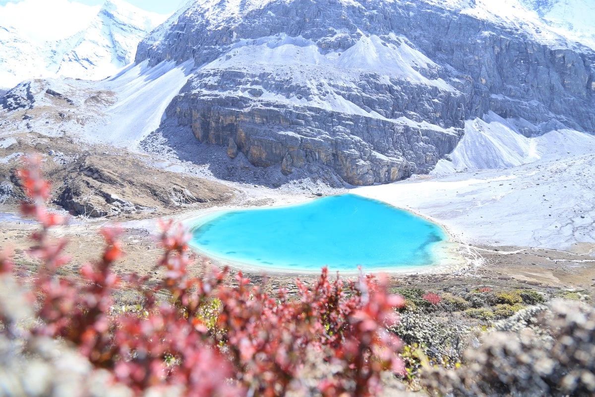 303e7a8eb970ceaf8856d130f93dc809.jpg 303e7a8eb970ceaf8856d130f93dc809.jpg