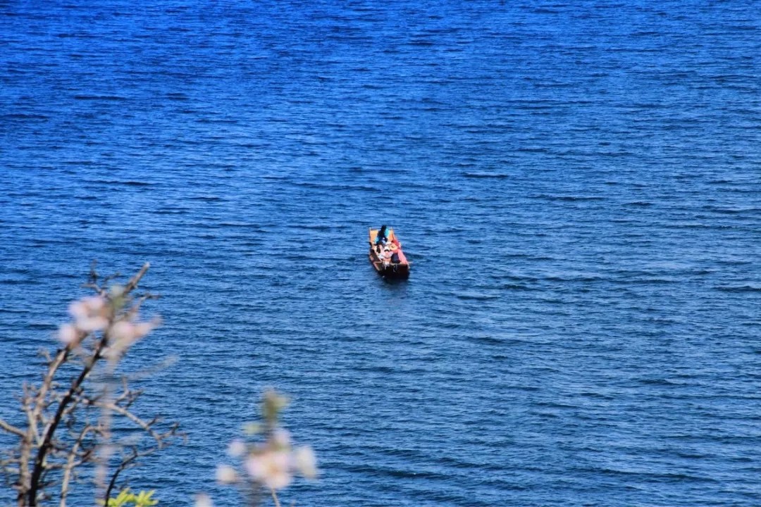 8f797f21ce2519c229e6feafde2b9eed.jpg 8f797f21ce2519c229e6feafde2b9eed.jpg