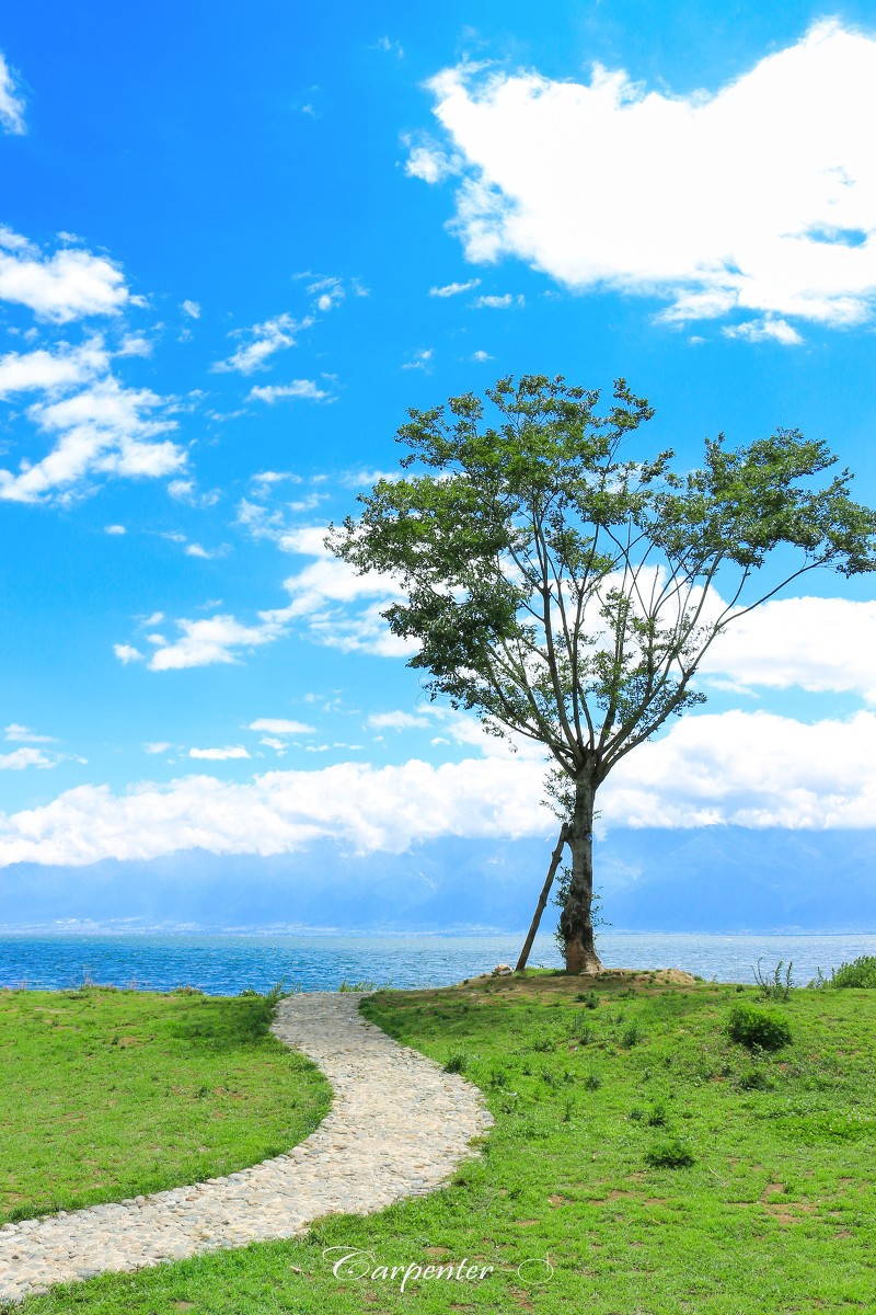 9ae846ba474b5479adb7df2d08486d41.jpg 9ae846ba474b5479adb7df2d08486d41.jpg