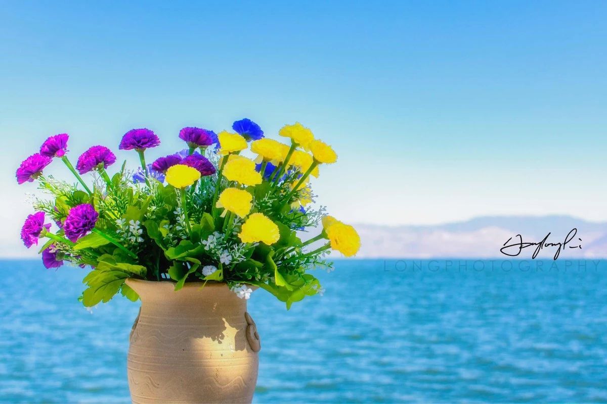 d3f6b15c1f28e689f475d464c4bfa379.jpg d3f6b15c1f28e689f475d464c4bfa379.jpg