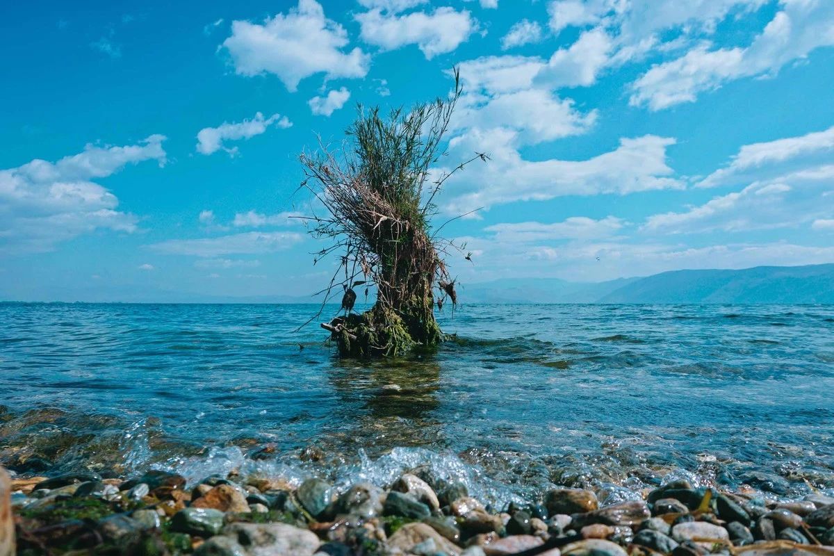 79492bc7a343bee7129988b8d6a2c657.jpg 79492bc7a343bee7129988b8d6a2c657.jpg