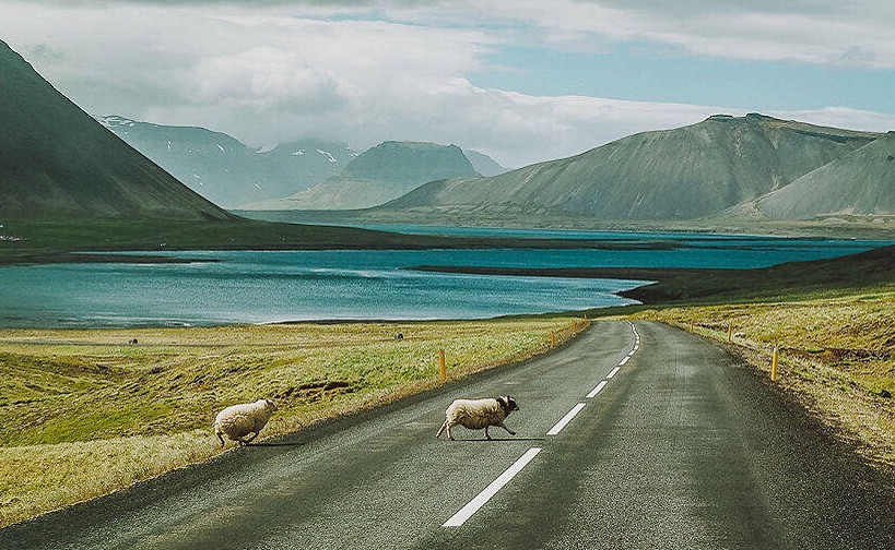 9dd2cd051f9ccf3c3cdde228dc55f510.jpg 9dd2cd051f9ccf3c3cdde228dc55f510.jpg