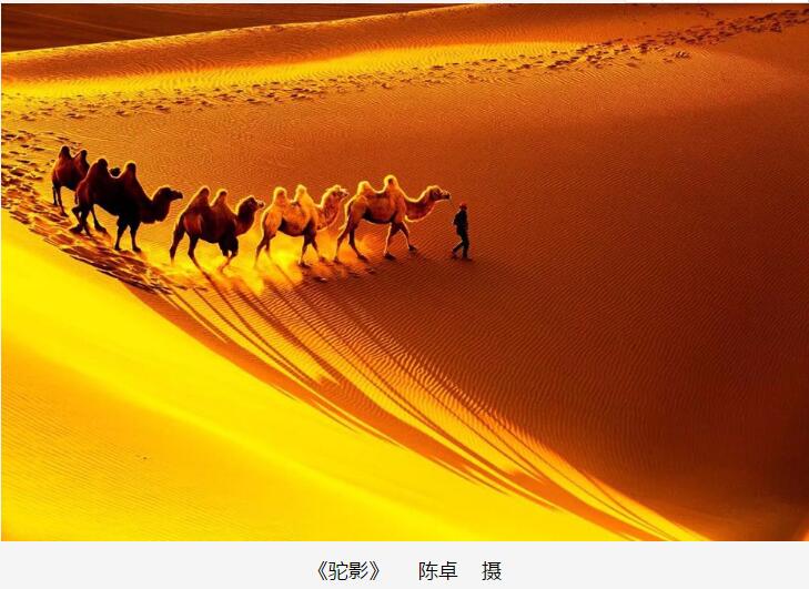 QQ截图20180703154427.jpg