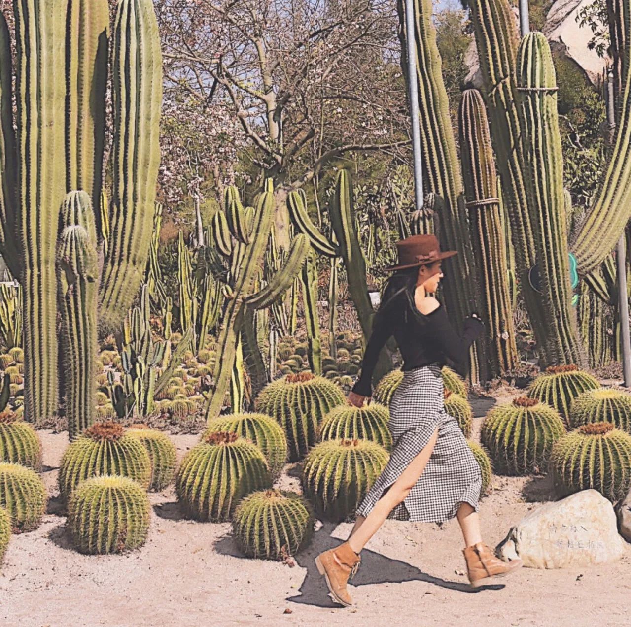 295f447a42b356b46443c6eb55498c80.jpg 295f447a42b356b46443c6eb55498c80.jpg