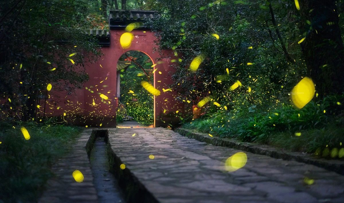 e257297cf694f178281fe57b932ada15.jpg e257297cf694f178281fe57b932ada15.jpg