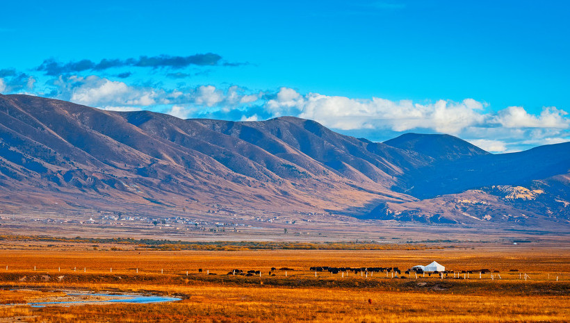 5936db91cfd47e2d3cda490a3cfa5f6b.jpg 5936db91cfd47e2d3cda490a3cfa5f6b.jpg