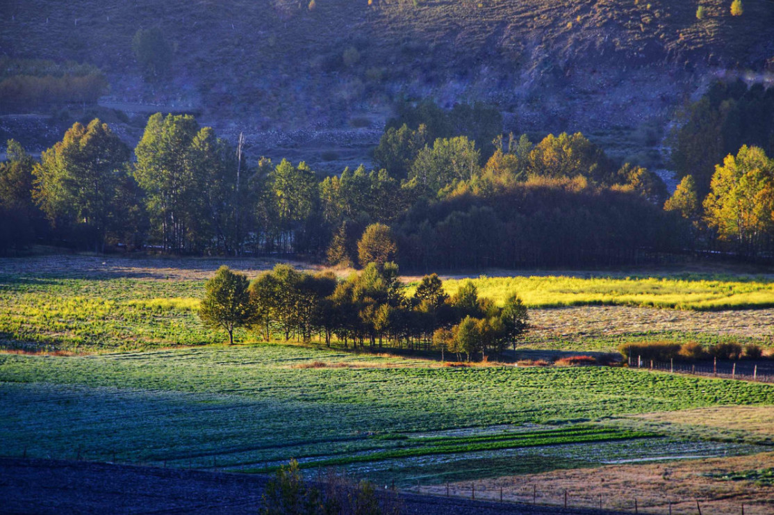 c1dfd6953fc09d359a1fc61bcfec58f4.jpg c1dfd6953fc09d359a1fc61bcfec58f4.jpg