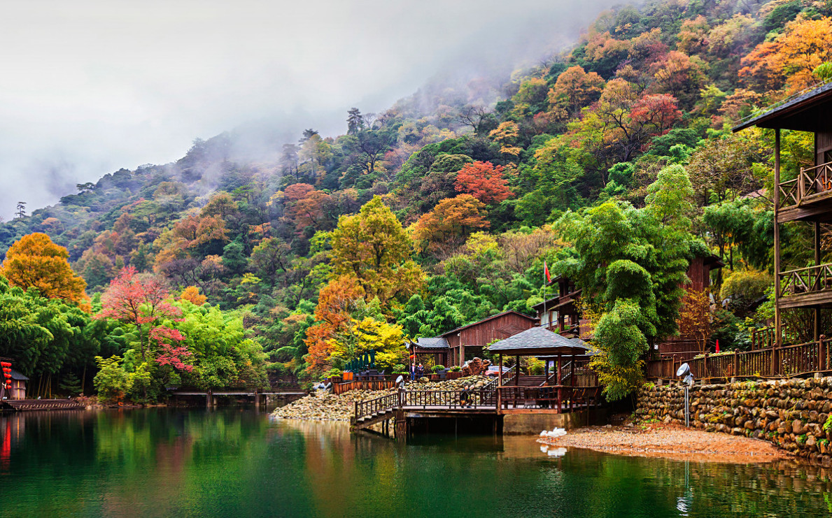 e2f52ad72969048cde3fe8d917fb2d3f.jpg e2f52ad72969048cde3fe8d917fb2d3f.jpg