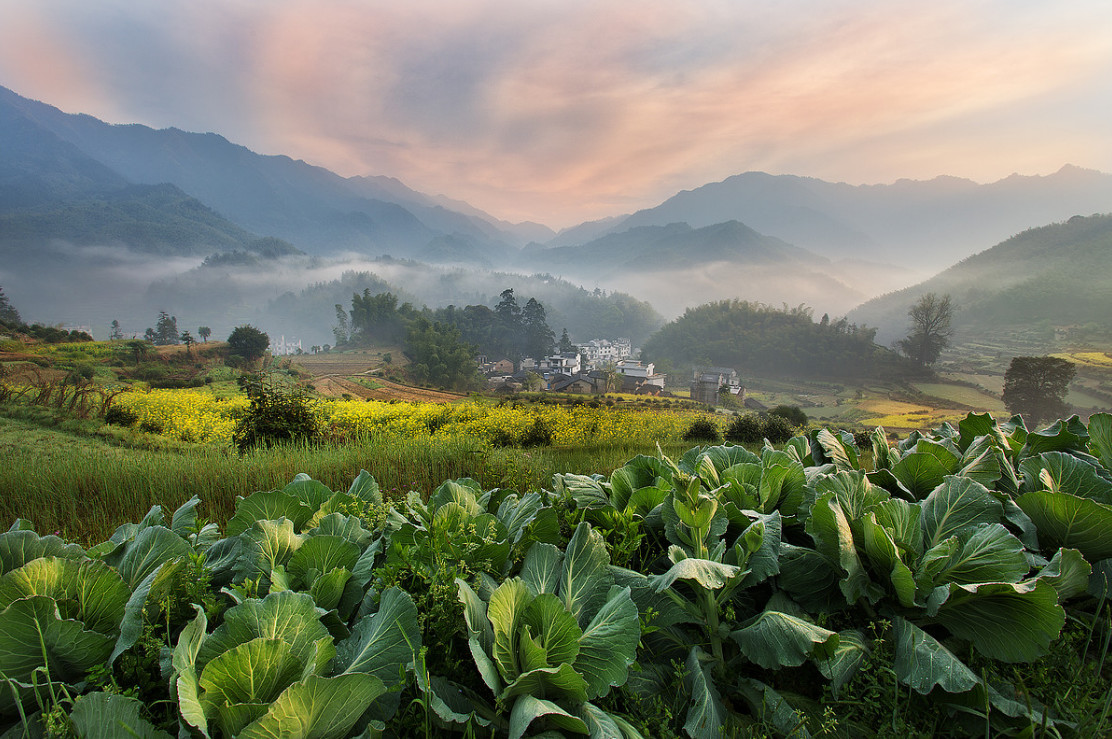 cd57df8ba362752472c08a3091c200a1.jpg cd57df8ba362752472c08a3091c200a1.jpg