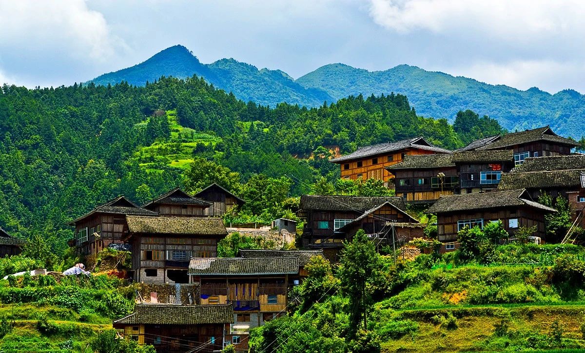 51f3e9c0fbe9d1d694cbca2428933553.jpg 51f3e9c0fbe9d1d694cbca2428933553.jpg