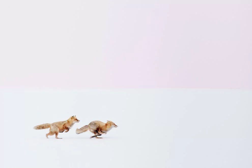 f700f617f76fa5dadd1847aa69d4990a.jpg f700f617f76fa5dadd1847aa69d4990a.jpg