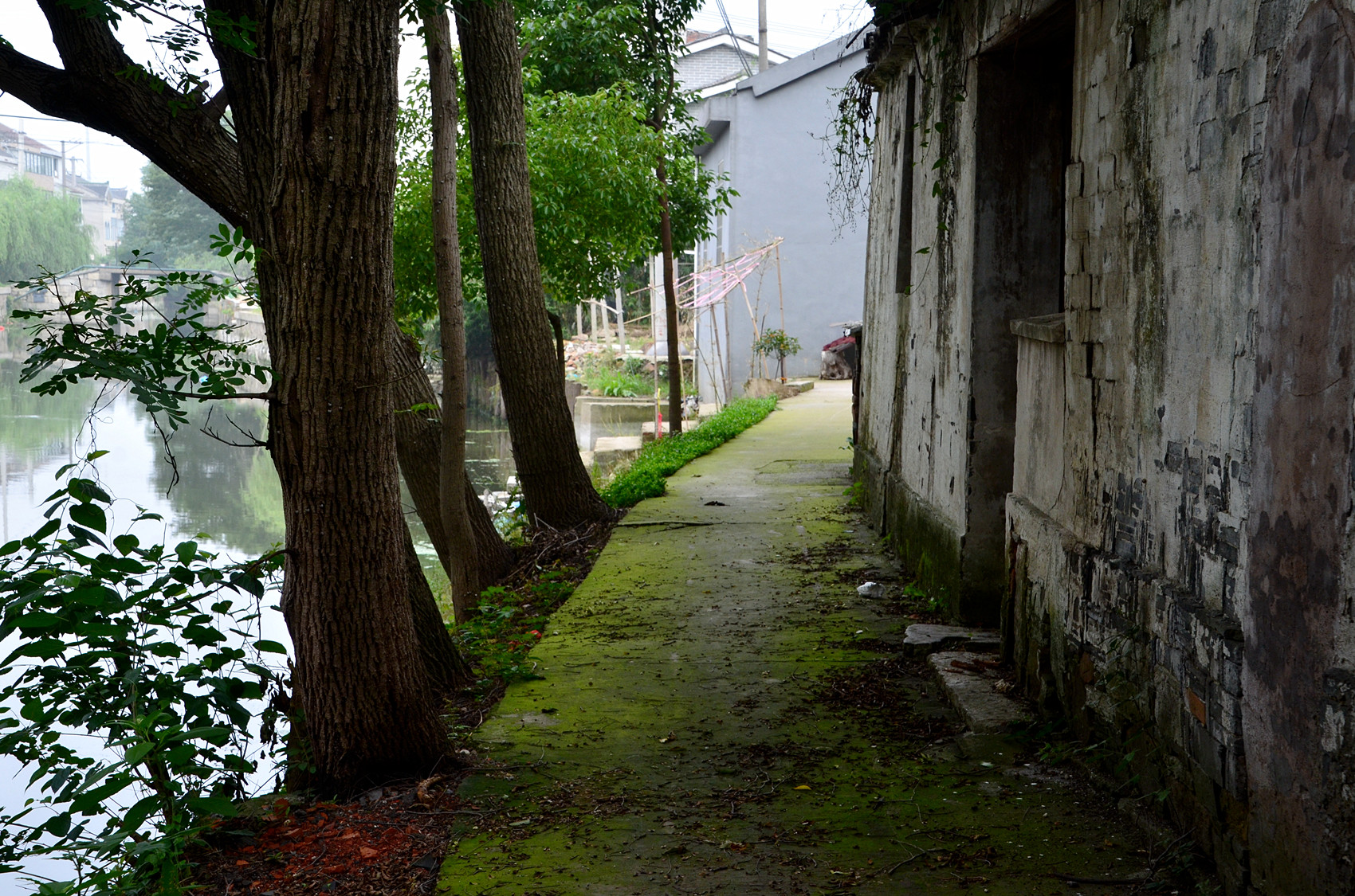 DSC_3393.jpg