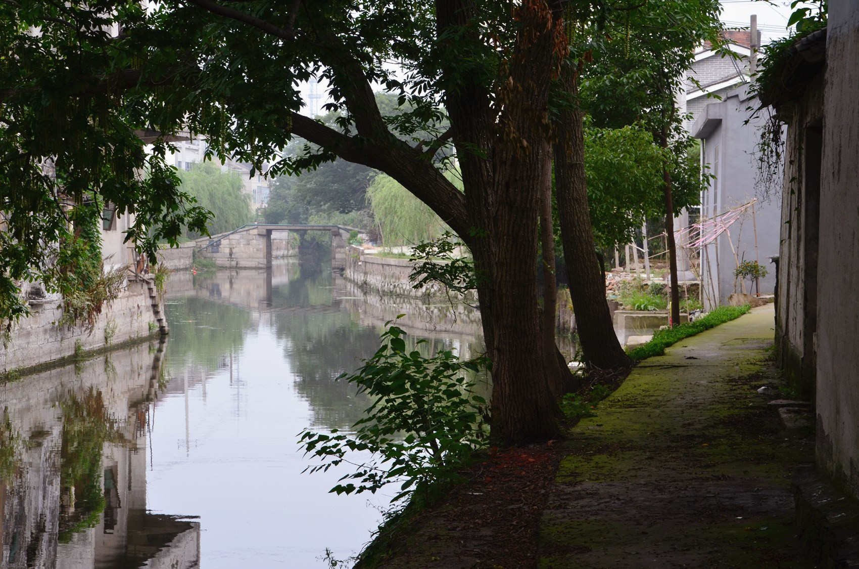 DSC_3397.jpg