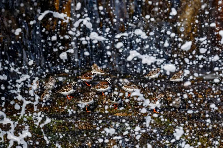 8b85c71eb00acd13185a847206564dc3.jpg 8b85c71eb00acd13185a847206564dc3.jpg