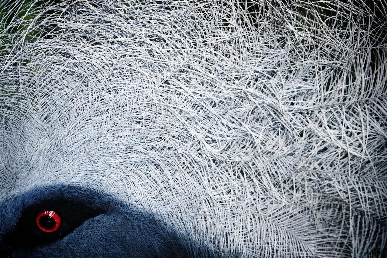 2574f5f03c9230f8b90770526a76b5bf.jpg 2574f5f03c9230f8b90770526a76b5bf.jpg