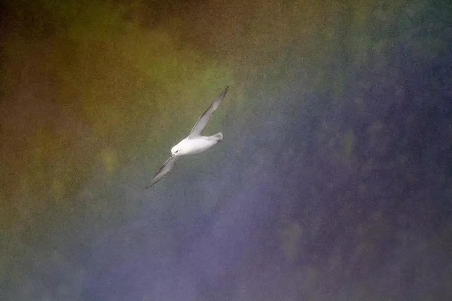 5e9d7ac1882cee685ae0619fa75ec79b.jpg 5e9d7ac1882cee685ae0619fa75ec79b.jpg