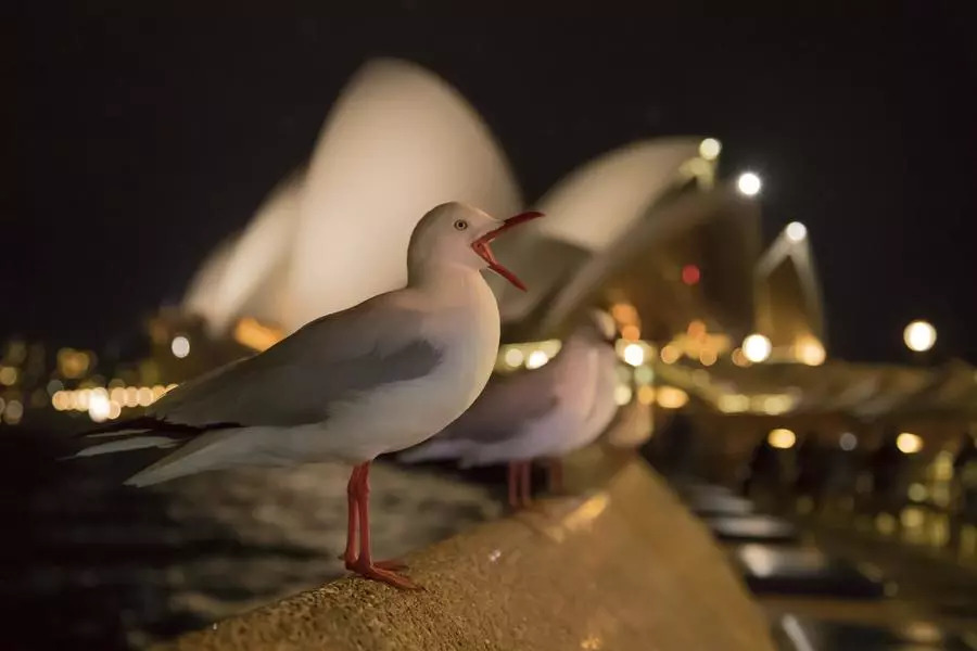 81e7cccb0367f5ad991626e805619014.jpg 81e7cccb0367f5ad991626e805619014.jpg