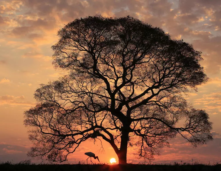 beb660c7ad3b858b724aa1181949c158.jpg beb660c7ad3b858b724aa1181949c158.jpg