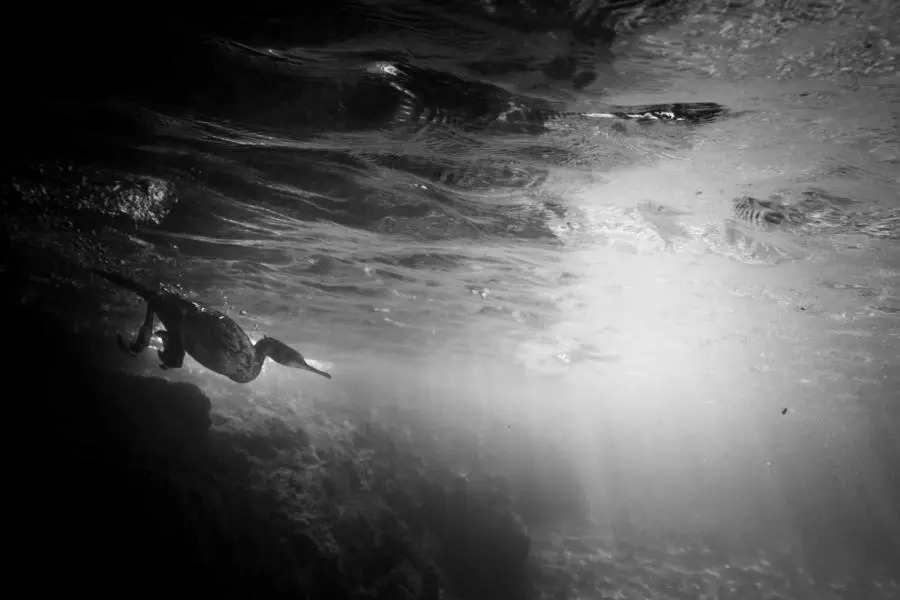 362e2050da7ea87df6b9d18ed1459b8e.jpg 362e2050da7ea87df6b9d18ed1459b8e.jpg