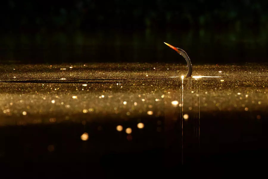 96db89a18da45d3a8ae65a676349eb1f.jpg 96db89a18da45d3a8ae65a676349eb1f.jpg