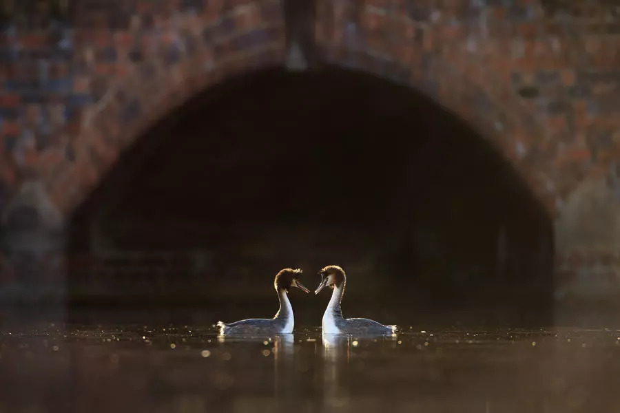 bc9ff604bad3bb28f70d036a61711efb.jpg bc9ff604bad3bb28f70d036a61711efb.jpg