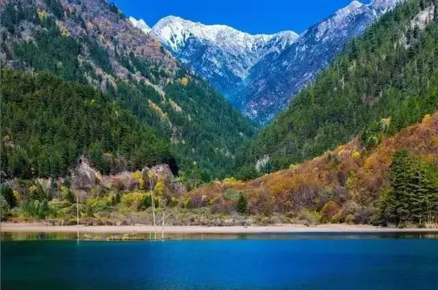 dcd95cd71154d0243722b11e1395f056.jpg dcd95cd71154d0243722b11e1395f056.jpg