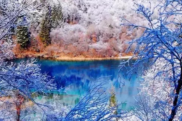 439623bcd5479de3221a5ea9b682ec8a.jpg 439623bcd5479de3221a5ea9b682ec8a.jpg