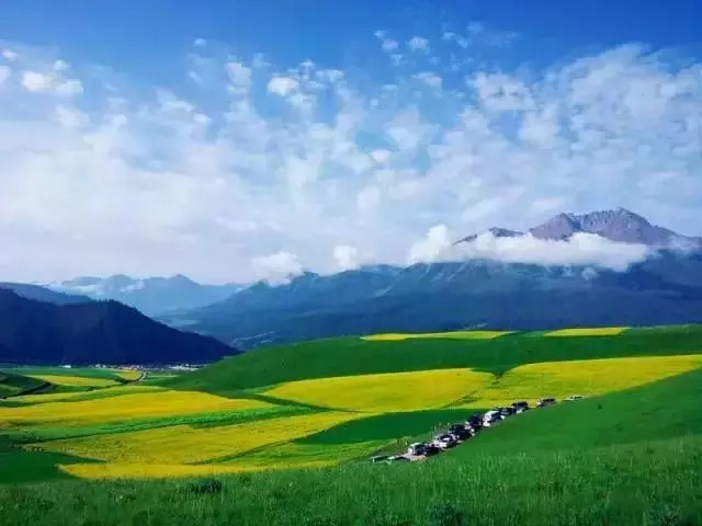 9e7297da56e9dc5efbf3dac05f616f95.jpg 9e7297da56e9dc5efbf3dac05f616f95.jpg