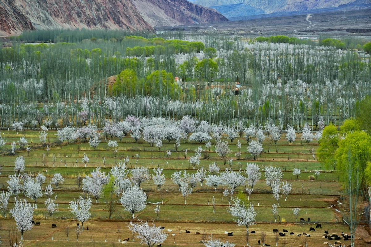 4c91342e432d2a7d52c0d3567feea98c.jpg 4c91342e432d2a7d52c0d3567feea98c.jpg