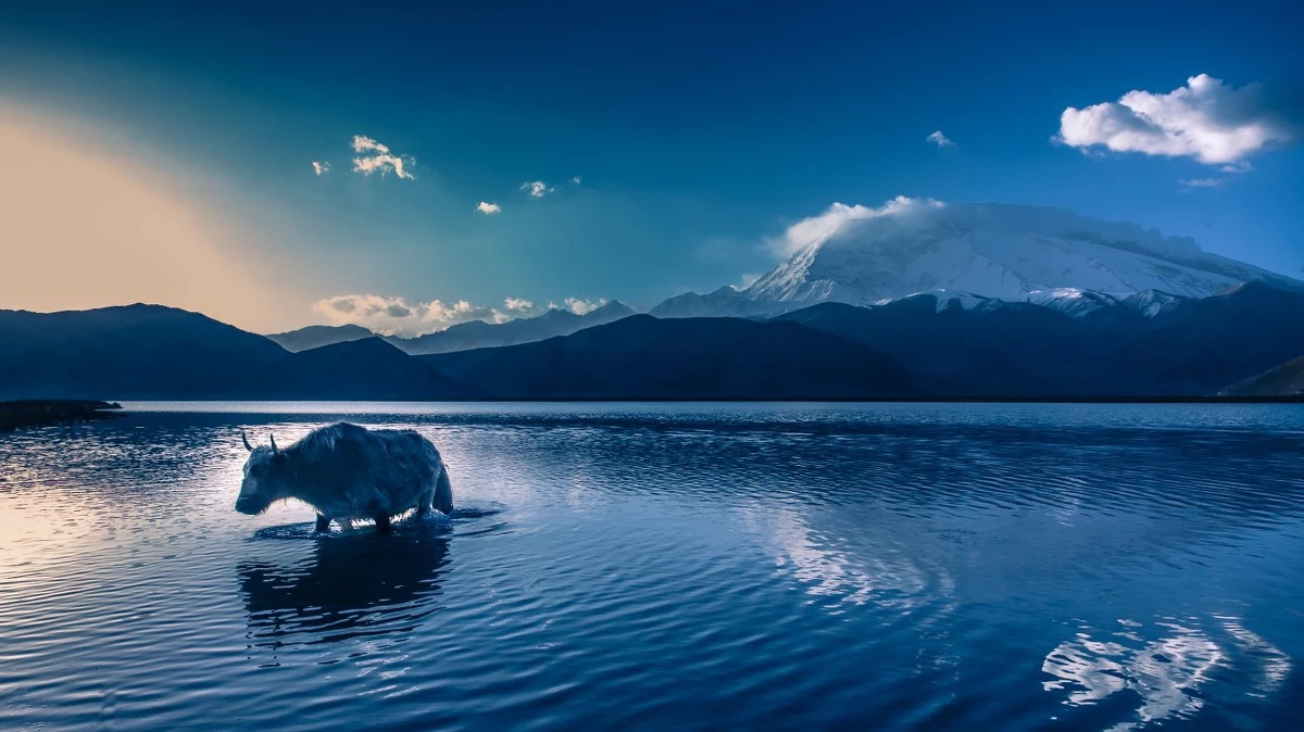 8aa0221c388b159d31cf2644a5e55cff.jpg 8aa0221c388b159d31cf2644a5e55cff.jpg