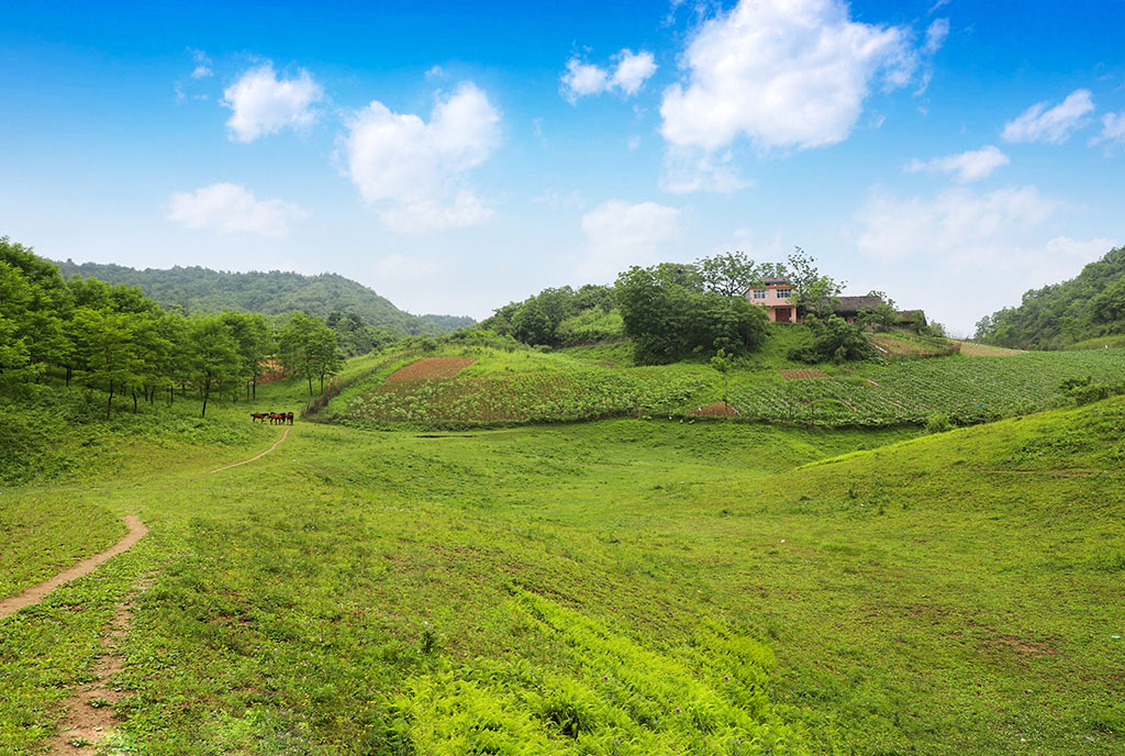 IMG_8100_ts副本副本.jpg