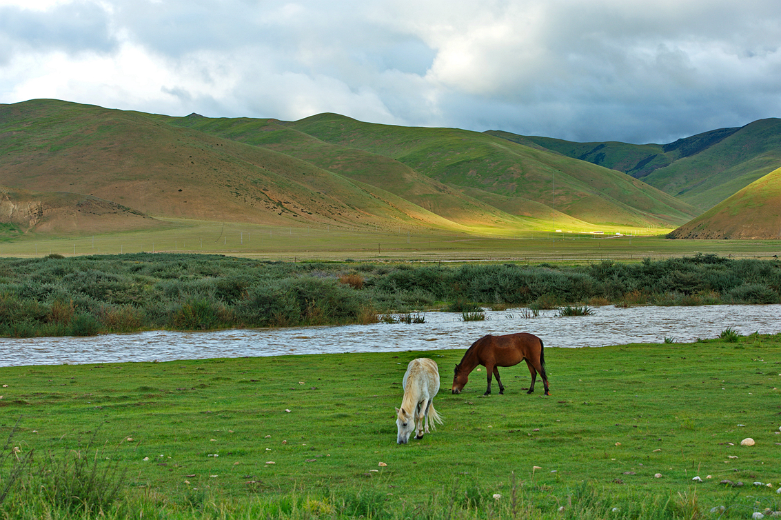 DSC_6739_副本.jpg